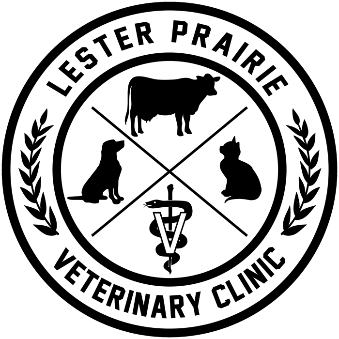 Small Animal Veterinary Services - Lester Prairie Veterinary Clinic